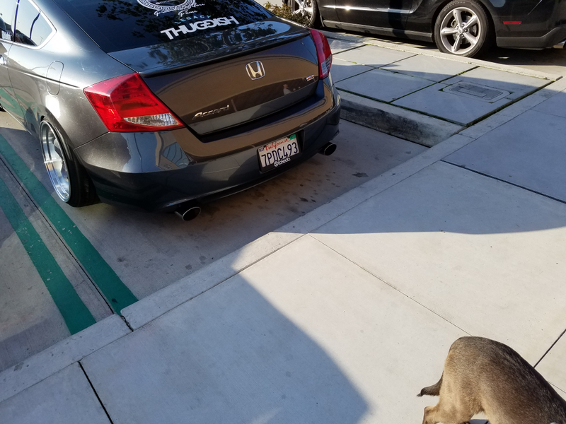 Toby stuck his butt into one picture